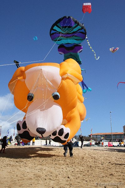 Festival Cerfs Volants Chatelaillon 2010_009.JPG